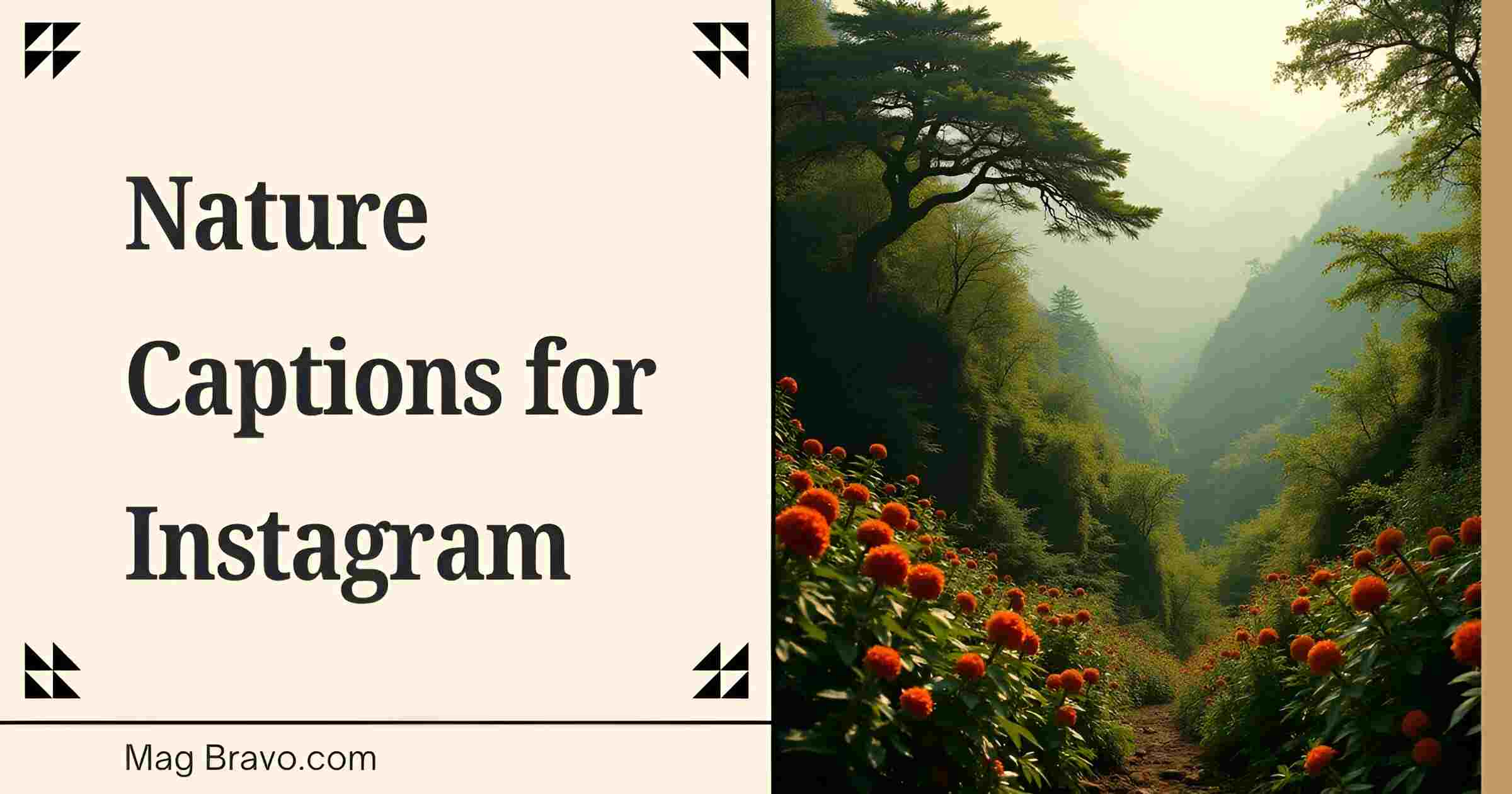 Captions for Nature for Instagram