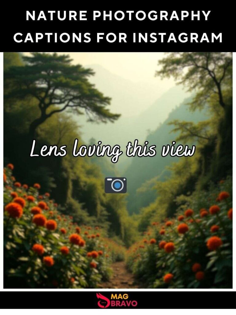 Captions for Nature Photography for Instagram